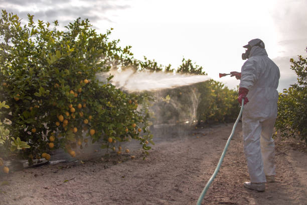 Best Pest Prevention Services  in Sharon, WI