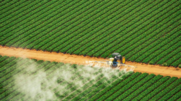 Best Pest Removal Services  in Sharon, WI
