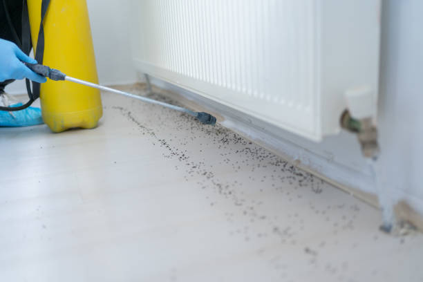 Best Best Pest Control Companies  in Sharon, WI