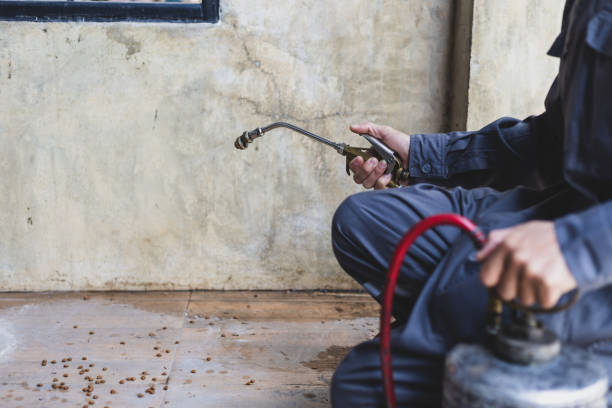 Best Pest Inspection Near Me  in Sharon, WI